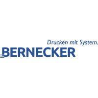 bernecker media ware ag logo image