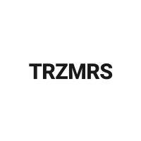 treize mars logo image