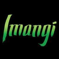 imangi studios logo image