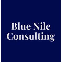 blue nile consulting logo image