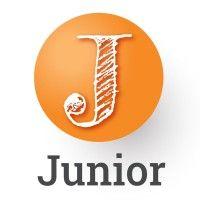 junior up ltd. logo image