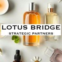 lotus bridge strategic partners