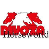 divoza horseworld logo image