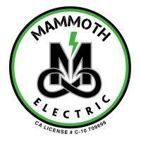 mammoth electric logo image