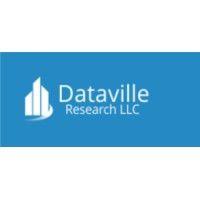 dataville research llc logo image