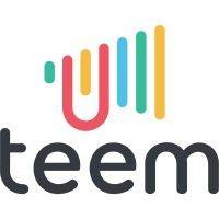 teem inc. logo image