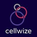 logo of Cellwize