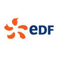 edf brasil logo image