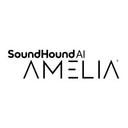 logo of Amelia