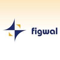 figwal transportes internacionais logo image