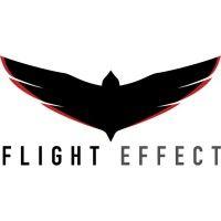 flight effect, llc logo image