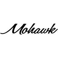 mohawk general store / mohawk man / smock logo image