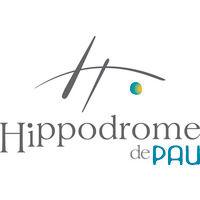 hippodrome de pau logo image