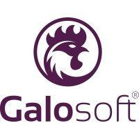 galosoft.cz logo image