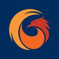 phoenixteam logo image