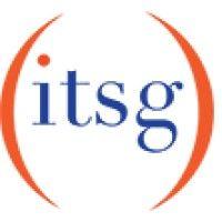 it survey group logo image