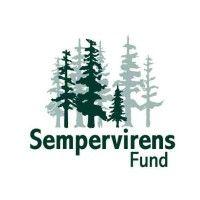 sempervirens fund logo image