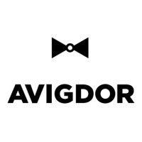 avigdor 22 logo image