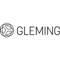 shenzhen gleming photoelectric technology co. ltd.