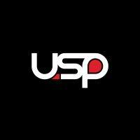 usp motorsports logo image