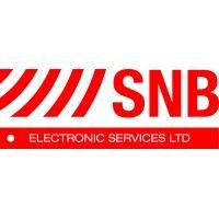 snb electronic services ltd logo image