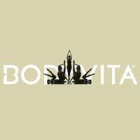 bodyvita logo image