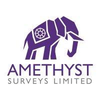 amethyst surveys limited logo image