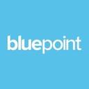 logo of Bluepoint Leadership Development