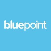 bluepoint leadership development logo image