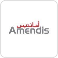 amendis logo image