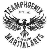 team phoenix martial arts logo image