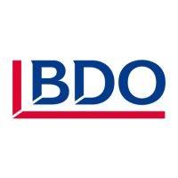 bdo italia logo image