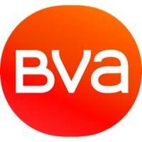 bva mystery shopping logo image