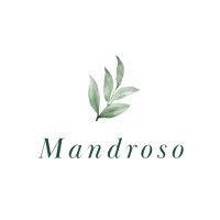 projet mandroso logo image