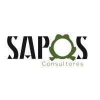 sapos consultores s.a. de c.v. logo image