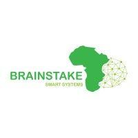 brainstake smart systems logo image