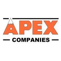 apex companies logo image