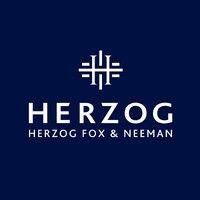 herzog logo image