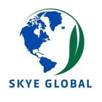 skye global logo image