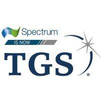 spectrum geo logo image