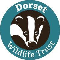 dorset wildlife trust logo image