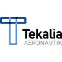 tékalia aéronautik logo image