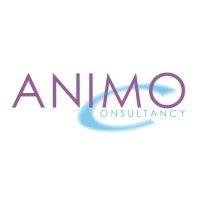 animo consultancy ltd logo image