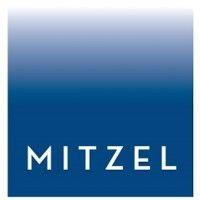 the mitzel group, llp logo image