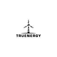 truenergy logo image