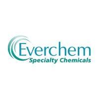 everchem specialty chemicals logo image