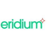 eridium digital - digital marketing agency logo image