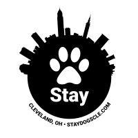 stay dog daycare and boarding logo image