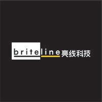 brite-line(shanghai)technology company limited logo image