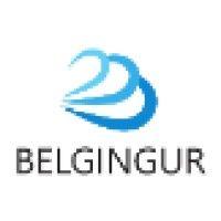 belgingur logo image